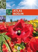 Atlas rośl... - Renata Krzyściak-Kosińska, Marek Kosiński -  Polnische Buchandlung 