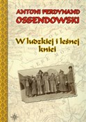 Polska książka : W ludzkiej... - Antoni Ferdynand Ossendowski