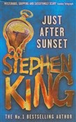 Książka : Just After... - Stephen King