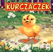Polnische buch : Kurczaczek... - Marek Szal (ilustr.), Katarzyna Campbell