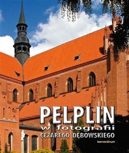 Obrazek Pelplin w fotografii Cezarego Dębowskiego BR