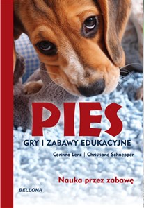Obrazek Pies Gry i zabawy edukacyjne Nauka przez zabawę