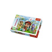 Puzzle 60 ... -  polnische Bücher