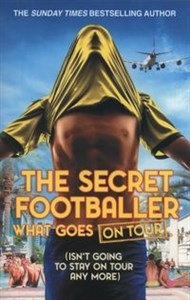 Bild von The Secret Footballer: What Goes on Tour