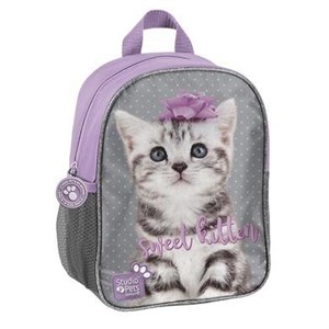 Bild von Plecak przedszkolny Studio Pets PTC-303 PASO