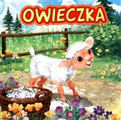 Owieczka - Marek Szal (ilustr.), Katarzyna Campbell -  Książka z wysyłką do Niemiec 