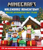 Minecraft ... -  polnische Bücher