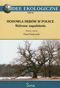 Obrazek Hodowla dębów w Polsce Wybrane zagadnienia