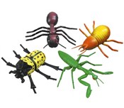 Owady -  Książka z wysyłką do Niemiec 