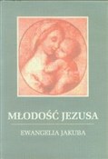 Młodość Je... - Jakub Lorber -  Książka z wysyłką do Niemiec 