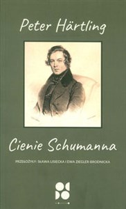 Obrazek Cienie Schumanna