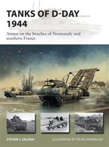 Bild von Tanks of D-Day 1944 Armor on the beaches of Normandy and southern France