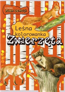 Obrazek Zwierzęta Leśna kolorowanka