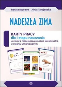 Bild von Nadeszła zima Karty pracy dla I etapu nauczania uczniów z niepełnosprawnością intelektualną w stopniu umiarkowanym