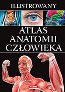 Obrazek Ilustrowany atlas anatomii człowieka