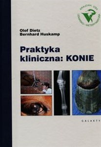 Bild von Praktyka kliniczna Konie