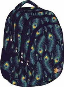 Obrazek Plecak 4-komorowy Peacock