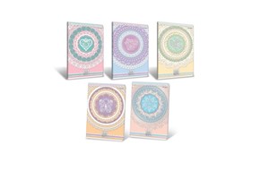 Bild von Zeszyt A5/32K linia Lace (10szt)