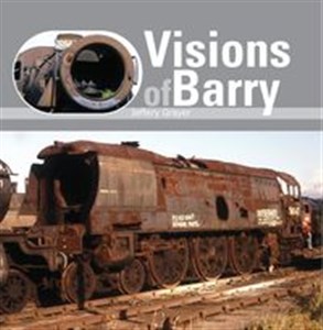 Obrazek Visions of Barry