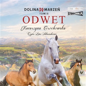 Obrazek [Audiobook] Dolina marzeń Tom 2 Odwet