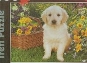 Bild von Puzzle 500 Labradorek w ogrodzie