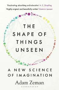 Obrazek ZEMAN, A: SHAPE OF THINGS UNSEEN