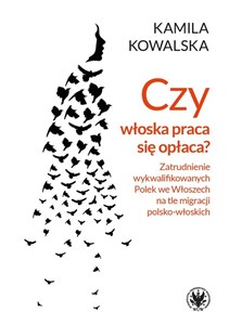 Obrazek Czy włoska praca się opłaca Zatrudnienie wykwalifikowanych Polek we Włoszech na tle migracji polsko-włoskich