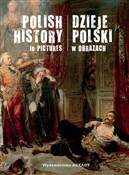 Polnische buch : Dzieje Pol... - Piotr Marczak