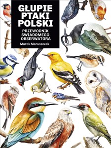 Obrazek Głupie ptaki Polski. Przewodnik świadomego obserwatora
