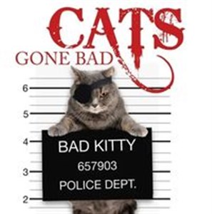 Bild von Cats Gone Bad