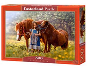 Obrazek Puzzle Beauty Within 500