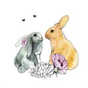 Polnische buch : Karnet Swa...