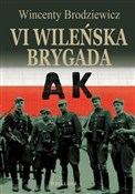 VI Wileńsk... - Wincenty Borodziewicz -  polnische Bücher