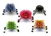 Hexbug Żuc... - Ksiegarnia w niemczech