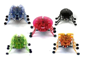Bild von Hexbug Żuczek