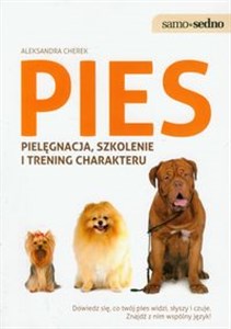 Bild von Pies pielęgnacja, szkolenie i trening charakteru Dowiedz się, co twój pies widzi, słyszy i czuje. Znajdź z nim wspólny język!