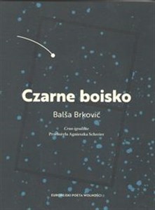 Bild von Czarne boisko