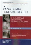 Anatomia u... - Małgorzata Wisłowska, Beata Żuk, Krystyna Księżopolska-Orłowska -  fremdsprachige bücher polnisch 