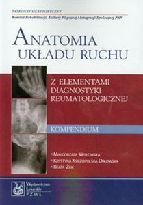 Bild von Anatomia układu ruchu Kompendium z elementami diagnostyki reumatologicznej