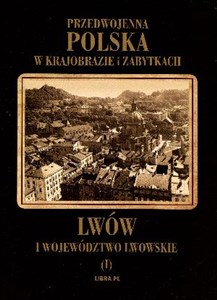 Obrazek Lwów i województwo lwowskie