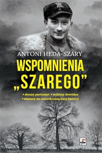 Bild von Wspomnienia "Szarego"