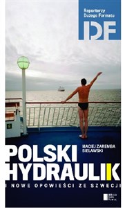 Obrazek Polski hydraulik i inne opowieści ze Szwecji