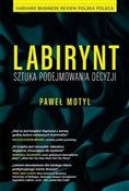 Polnische buch : Labirynt S... - Paweł Motyl