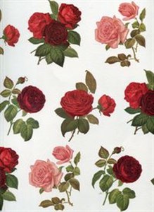 Obrazek Teczka na dokumenty FF 534B