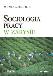 Bild von Socjologia pracy w zarysie