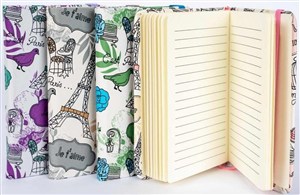 Bild von Notes A6 - Paryż MIX