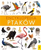 Encykloped... - Paweł Zalewski -  fremdsprachige bücher polnisch 