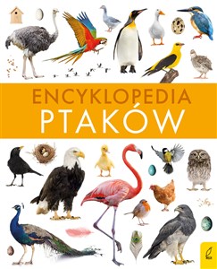 Bild von Encyklopedia ptaków