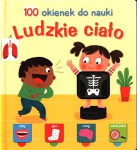 Obrazek 100 okienek. Ludzkie ciało