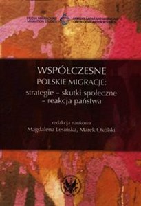 Bild von Współczesne polskie migracje strategie - skutki społeczne - reakcja państwa